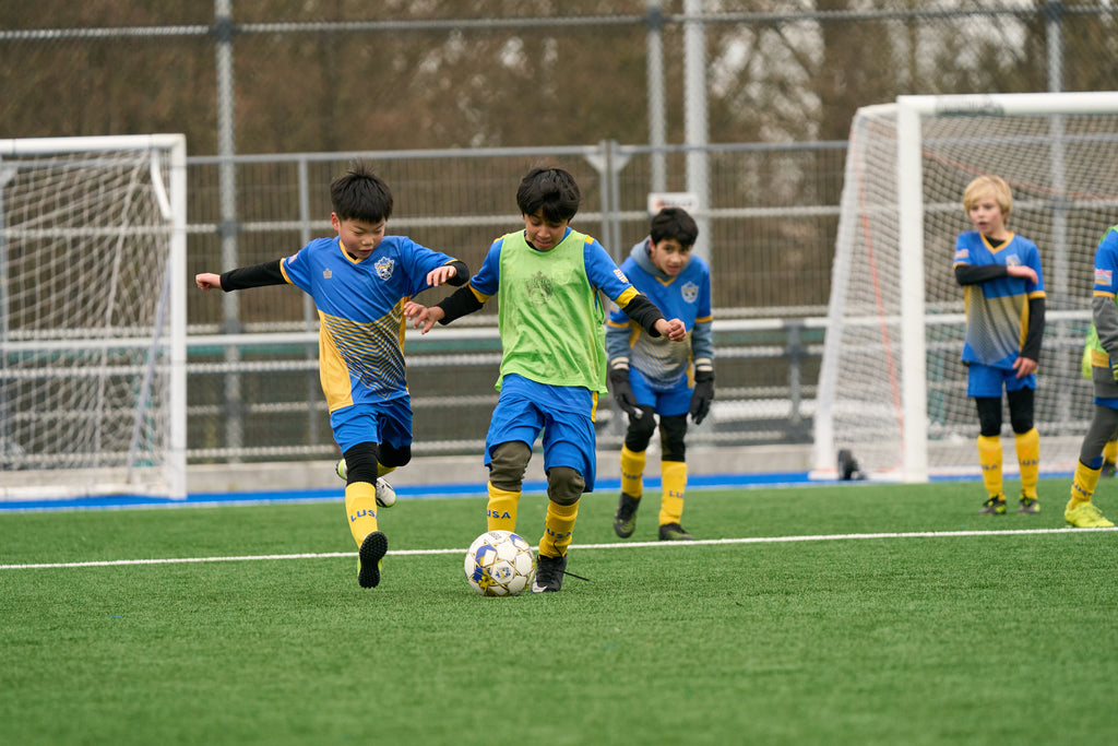Fall Programs – LUSA